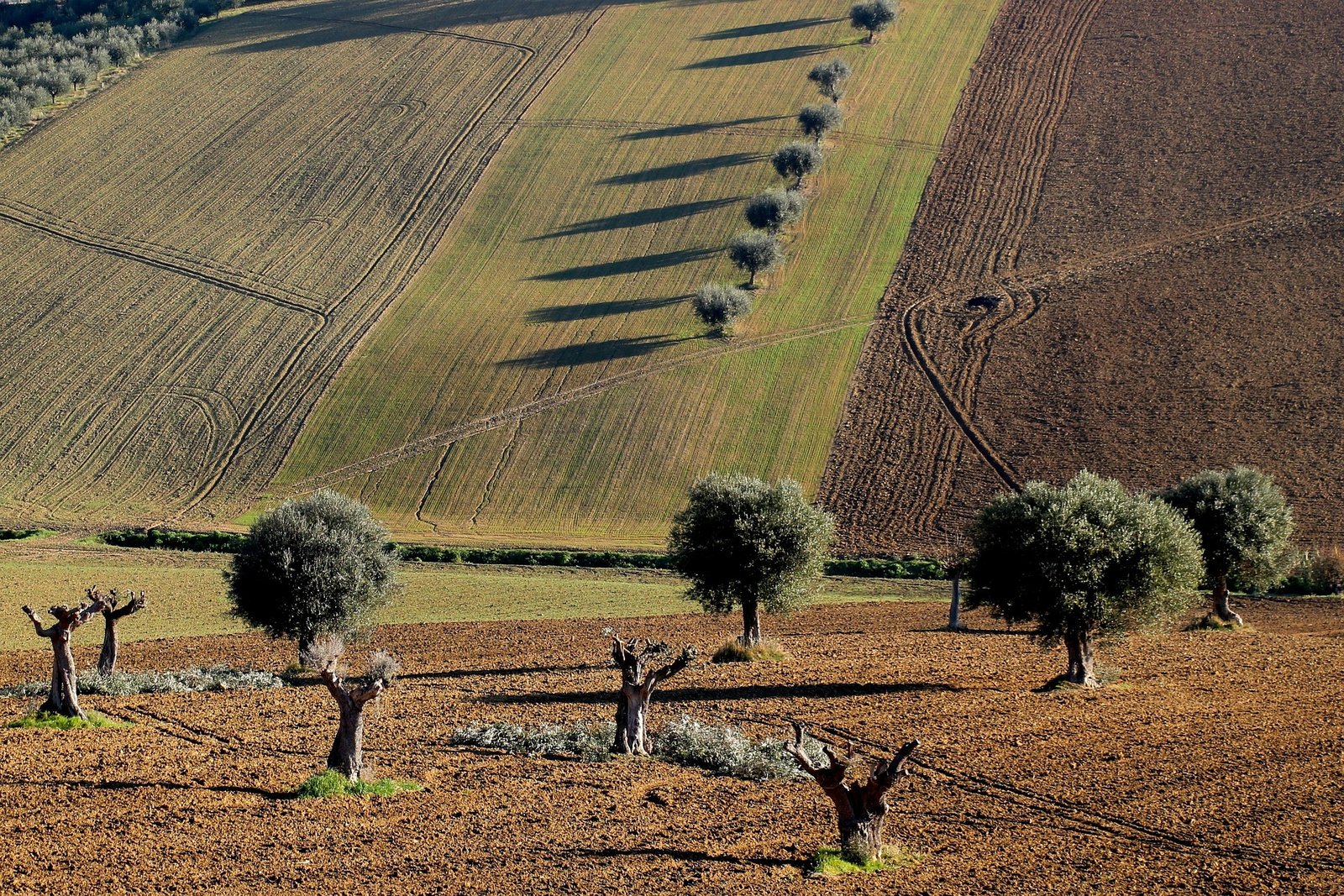 Tire Merkez Arazi Piyasası Analizi — Q2 2026