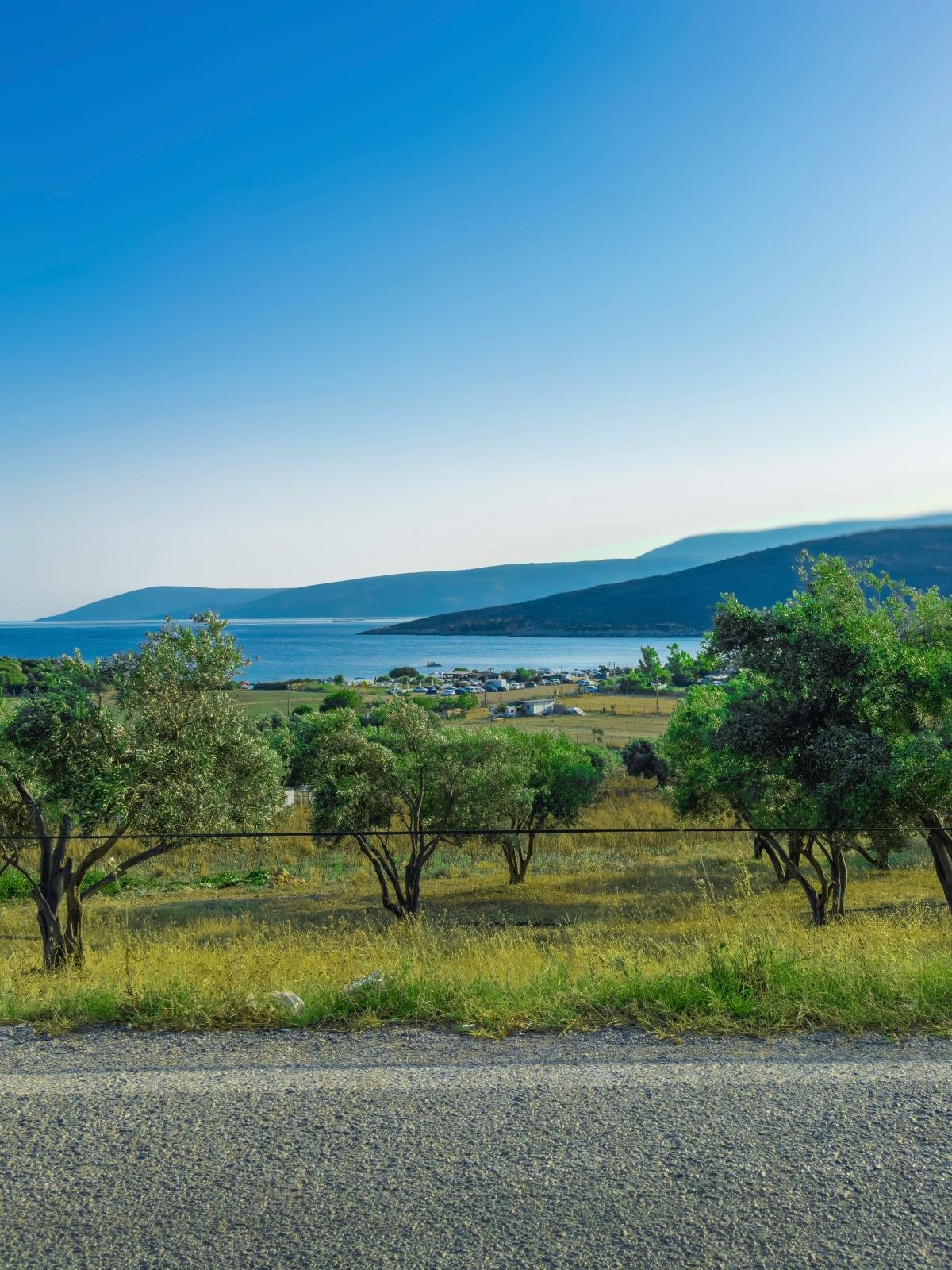 Ege Bölgesi Gayrimenkul ve Arsa Yatırım Analizi
