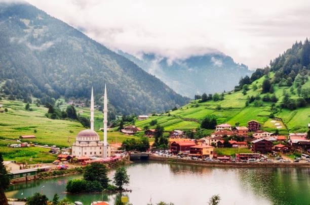 Trabzon Arsa Piyasası 2026: İlçe İlçe Yatırım Rehberi